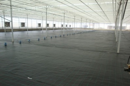 Greenhouse floor covering
