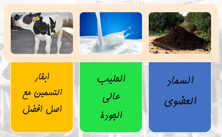Livestock products