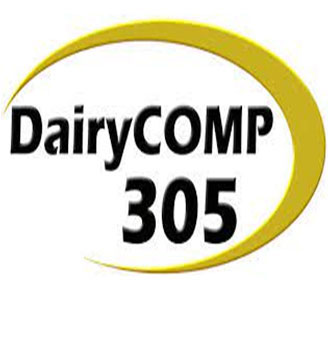 dairy comp