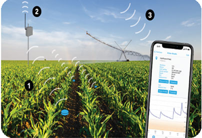 IoT in Agriculture and Animal Husbandry